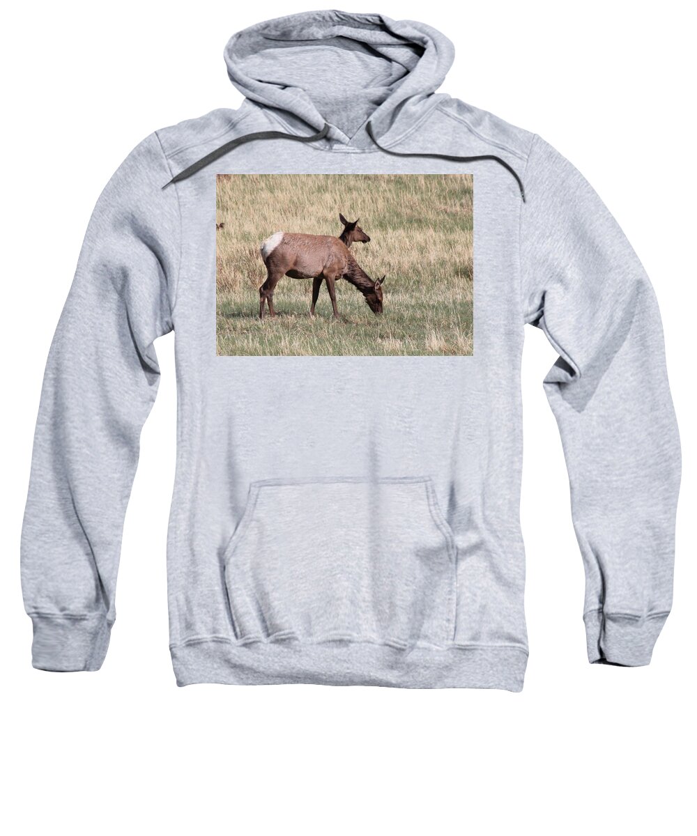 Elk Sweatshirt featuring the photograph Double Vision by Shane Bechler