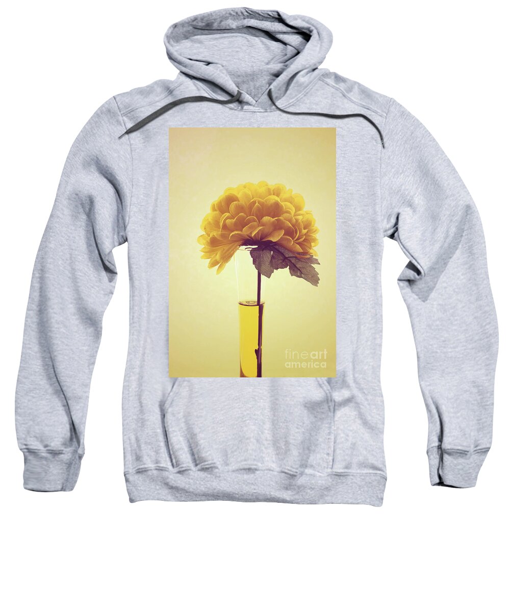 Yellow Sweatshirt featuring the photograph Estillo - s03-y01r by Variance Collections