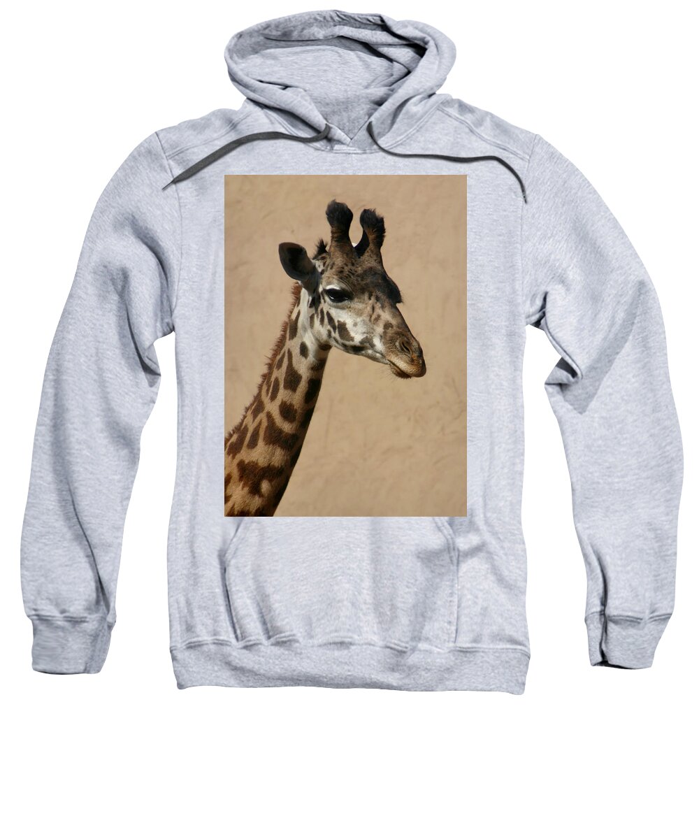 Giraffe Sweatshirt featuring the photograph Giraffe by Kelly Hazel