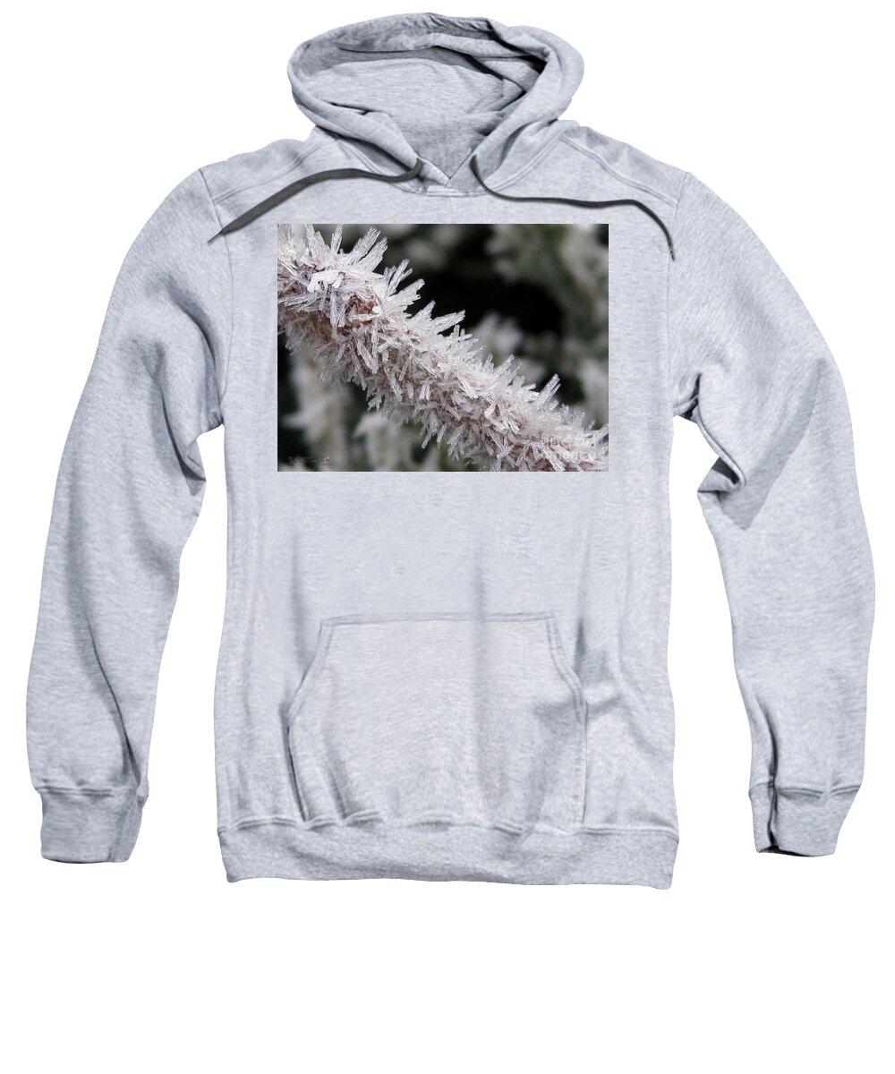 Frost Sweatshirt featuring the photograph Ice Crystal Formation along a Twig by J McCombie