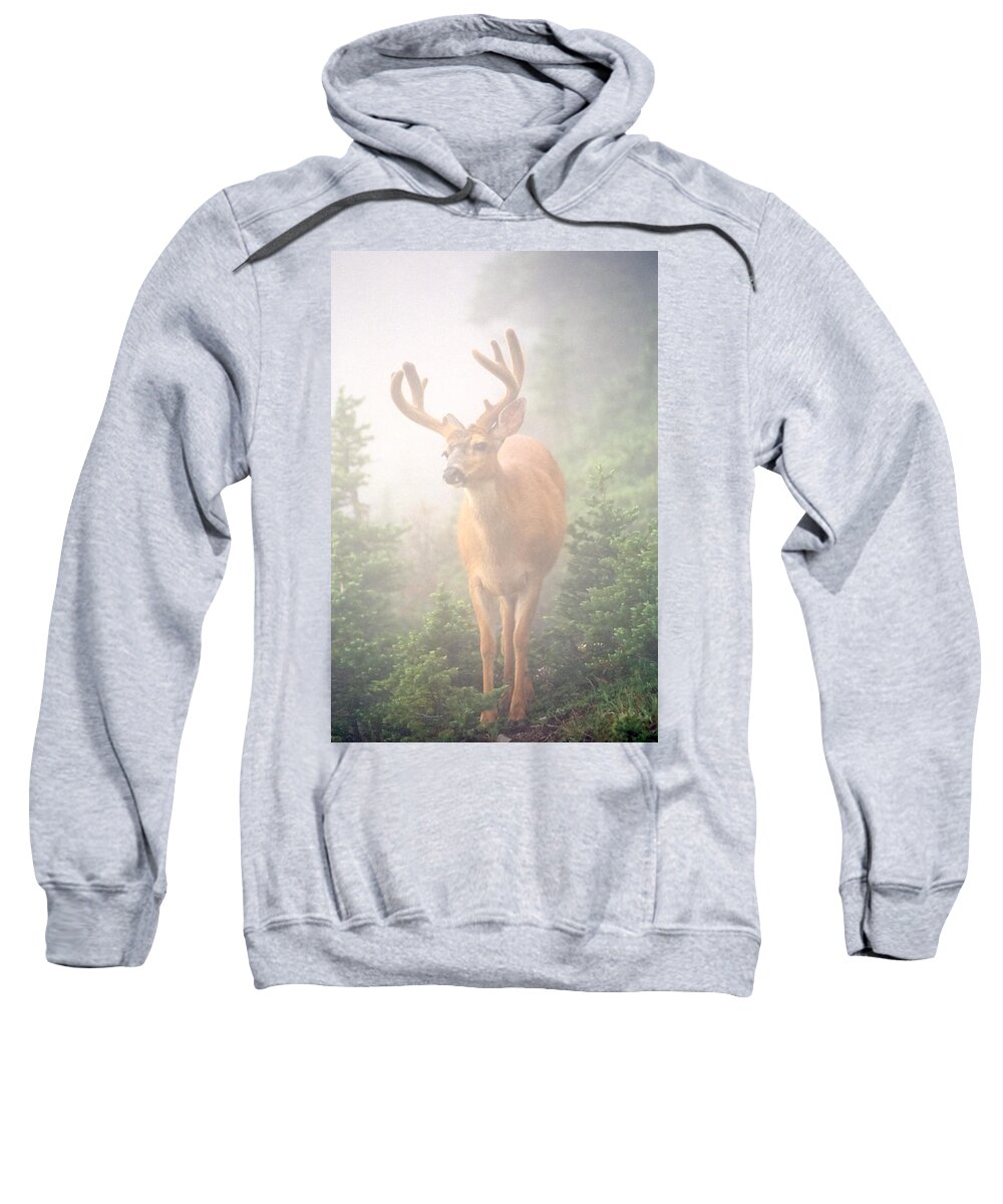 Deer Sweatshirt featuring the photograph In the Mist by Tom and Pat Cory