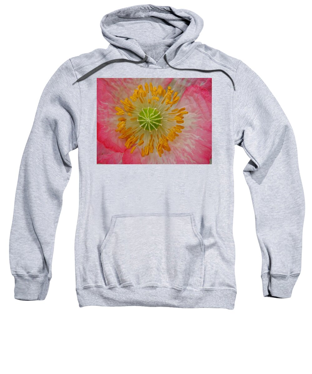 Flowers Sweatshirt featuring the photograph Macro Mystery by Diana Hatcher