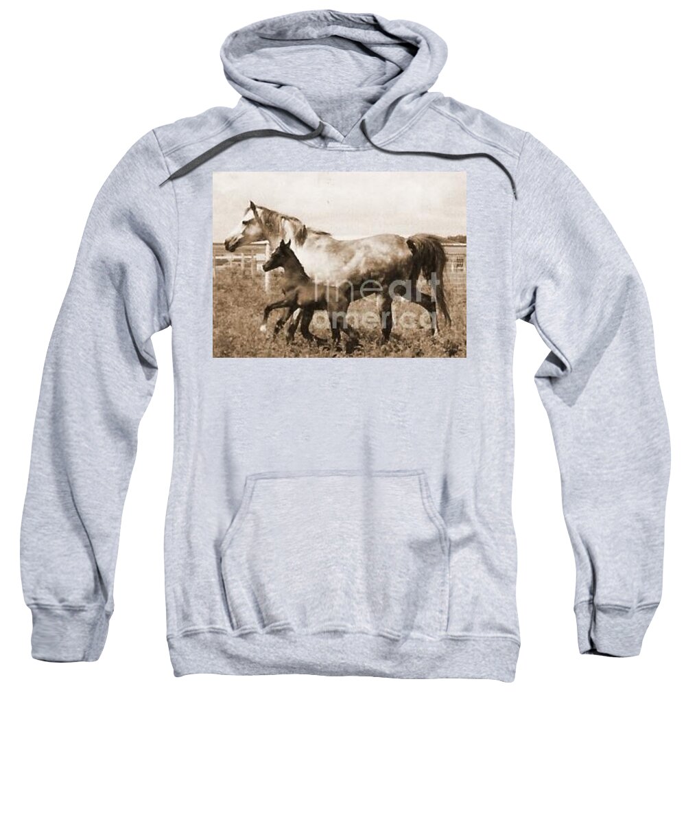 Mare Sweatshirt featuring the photograph Mare and Foal by Vonda Lawson-Rosa