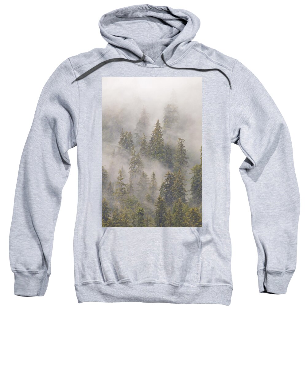 Mp Sweatshirt featuring the photograph Mist In Tongass National Forest by Matthias Breiter