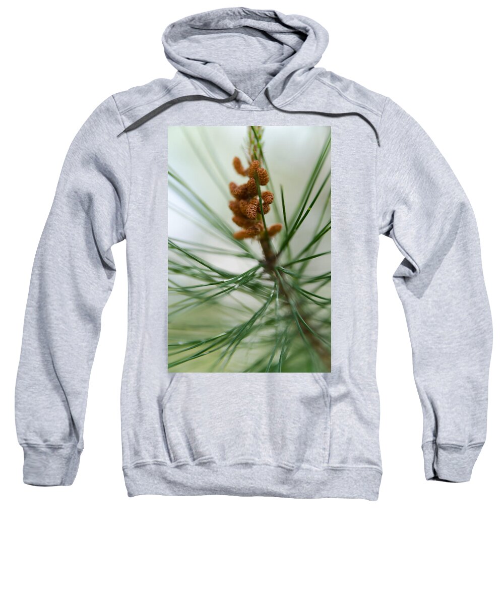 Forest Sweatshirt featuring the photograph New pine cones by Michael Goyberg