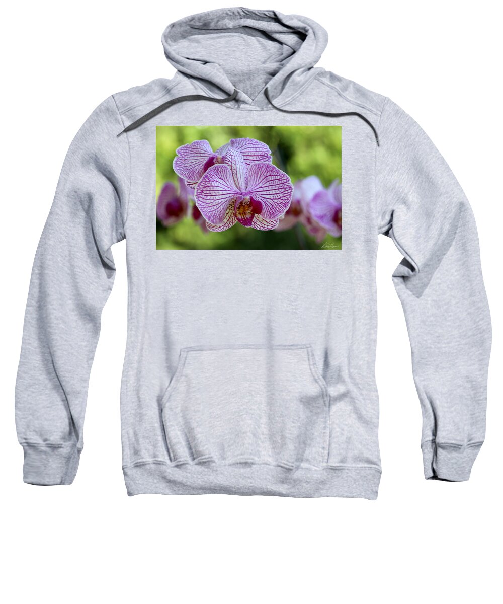 Orchid Sweatshirt featuring the photograph Orchids by Diana Haronis