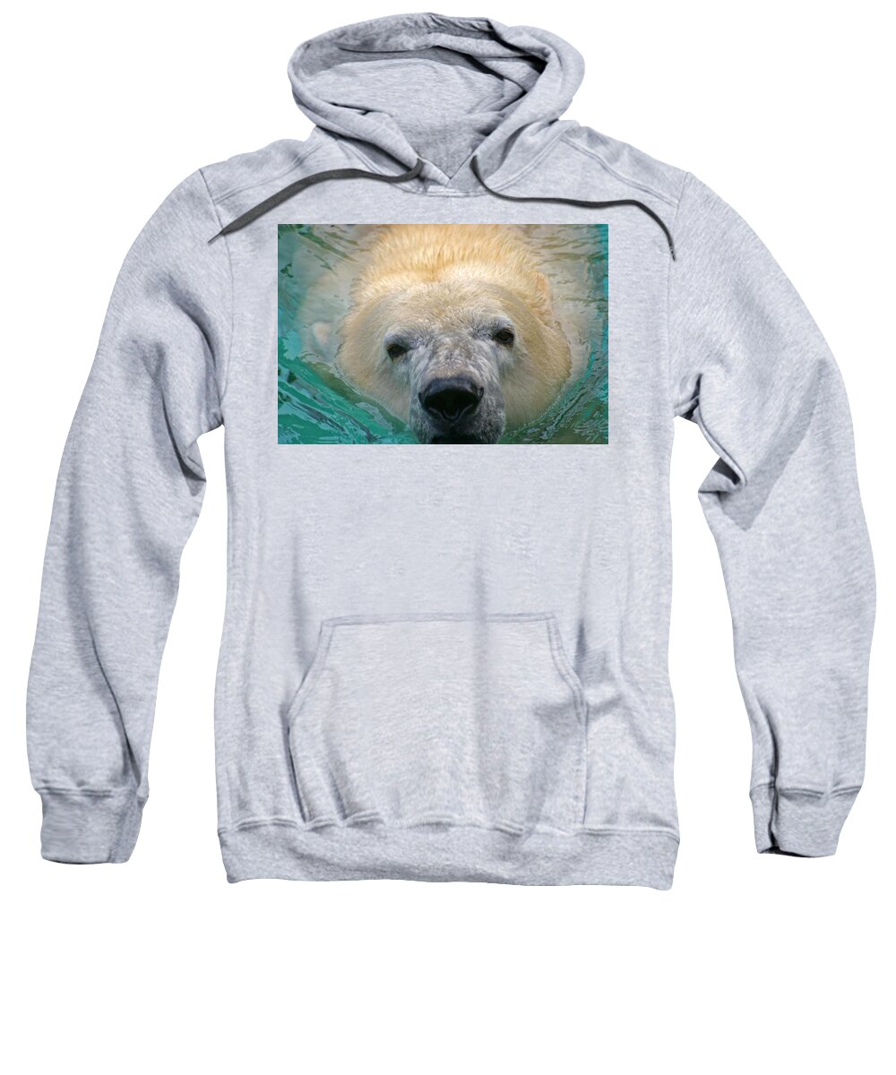 Zoo Sweatshirt featuring the photograph Polar Bear Swim by David Rucker