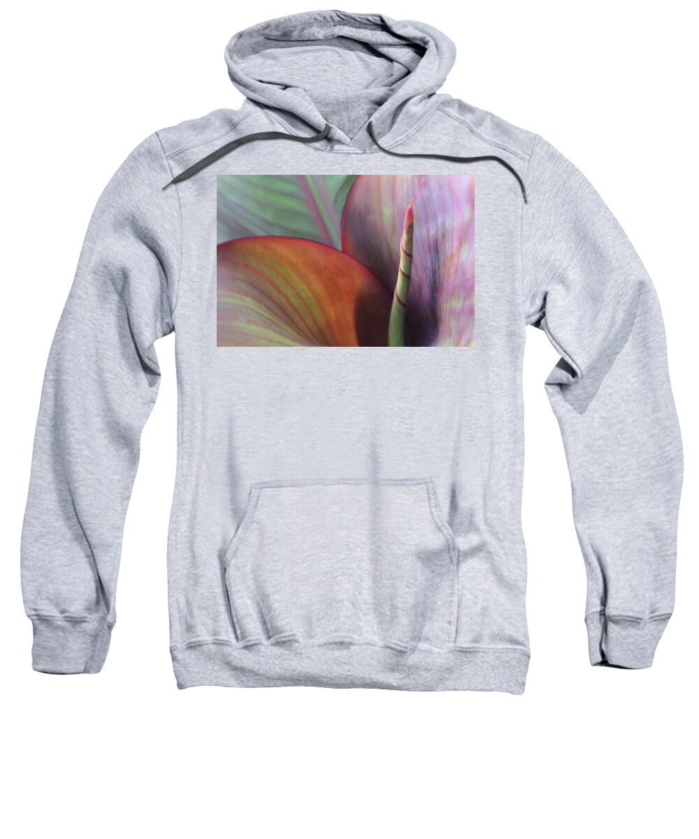 Macro Flower Sweatshirt featuring the photograph Soft Focus Petal by Lorraine Devon Wilke