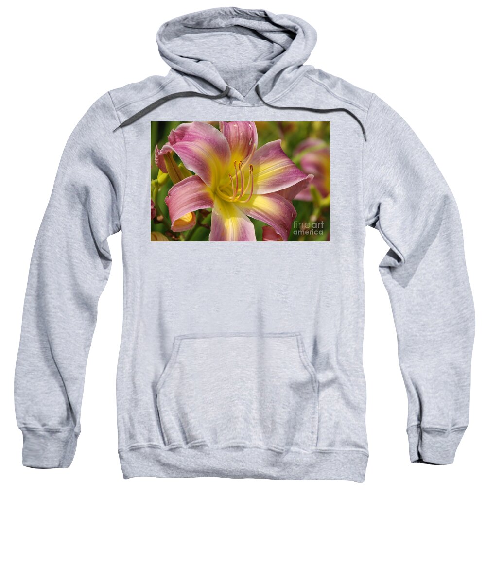 Tiger Lilly Sweatshirt featuring the photograph Tiger Lilly by Grace Grogan
