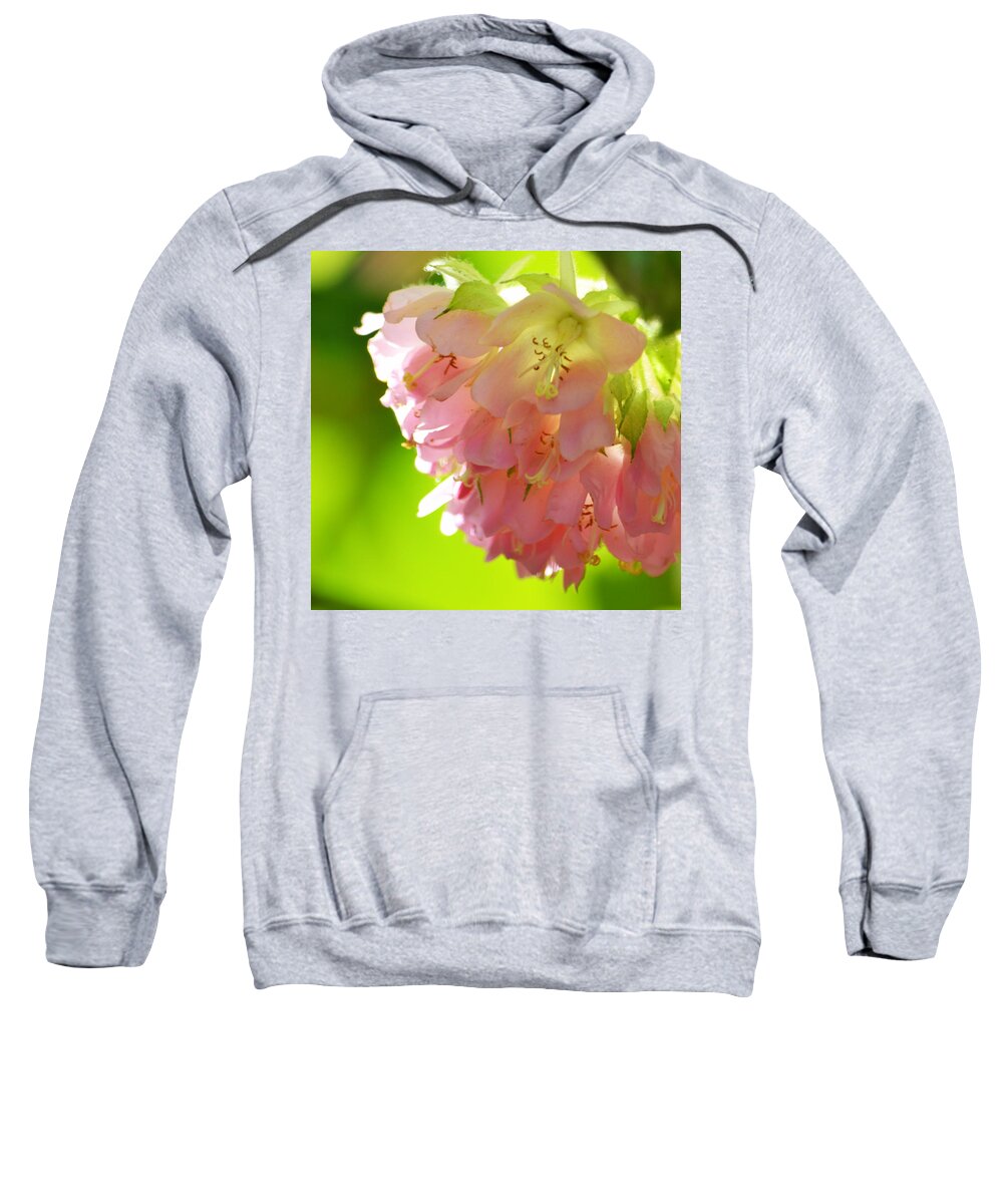 Pink Sweatshirt featuring the photograph Touch by Melanie Moraga