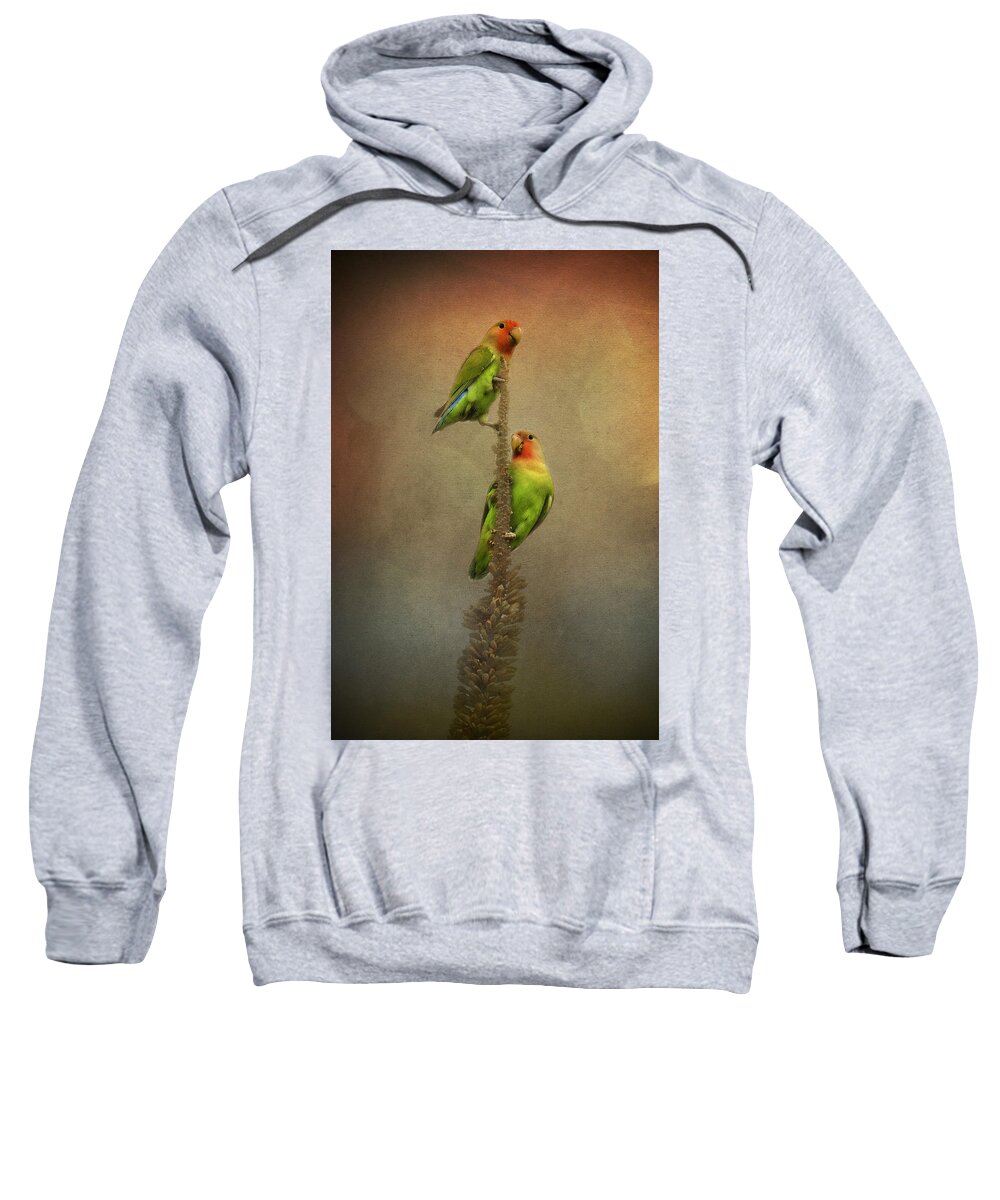 Peach Faced Lovebird Sweatshirt featuring the photograph Up and Away We Go by Saija Lehtonen