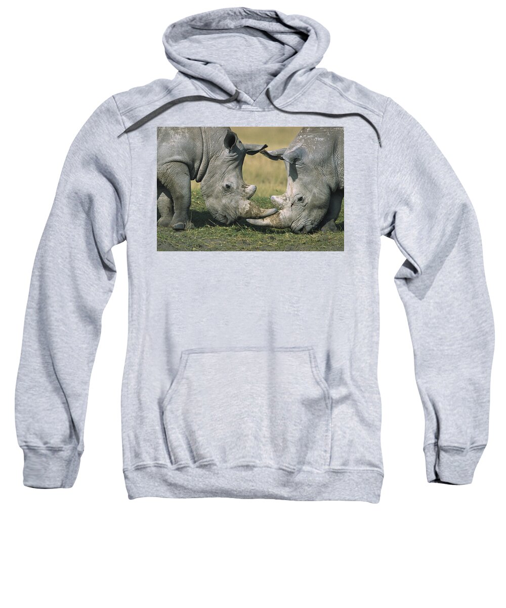 Flpa Sweatshirt featuring the photograph White Rhinoceros Ceratotherium Simum by Martin Withers