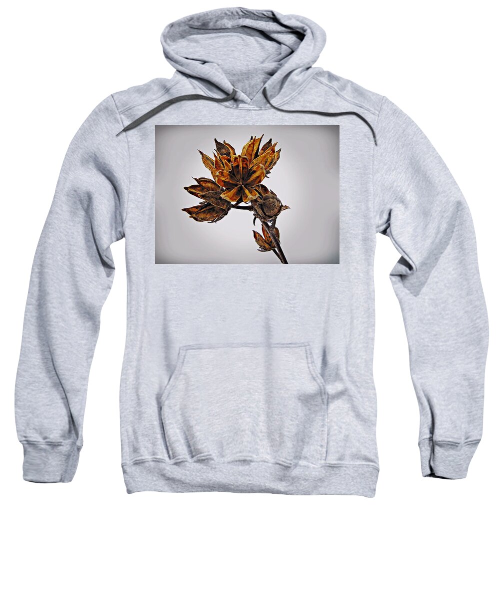 Rose Of Sharon Sweatshirt featuring the photograph Winter Dormant Rose of Sharon by David Dehner