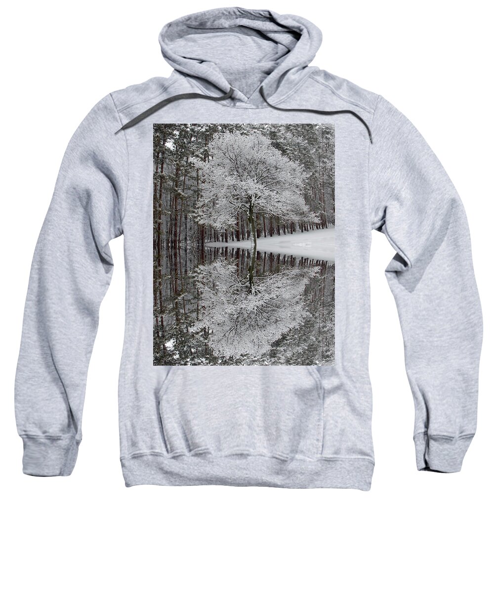 Winter Landscape Sweatshirt featuring the photograph Winter Reflection by Aimee L Maher ALM GALLERY