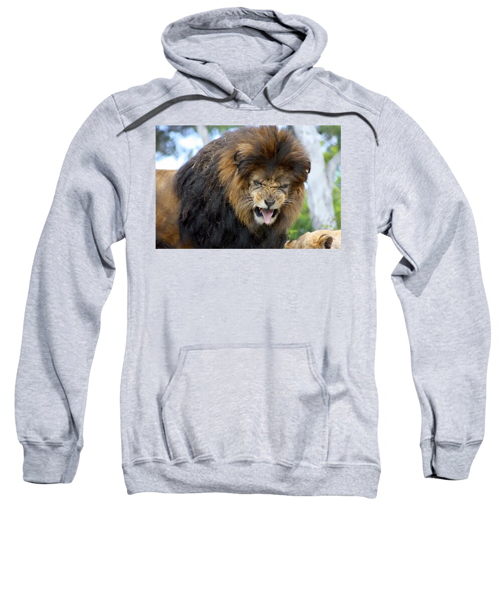 Lion Sweatshirt featuring the photograph Yuck vegetables by Randy Wehner