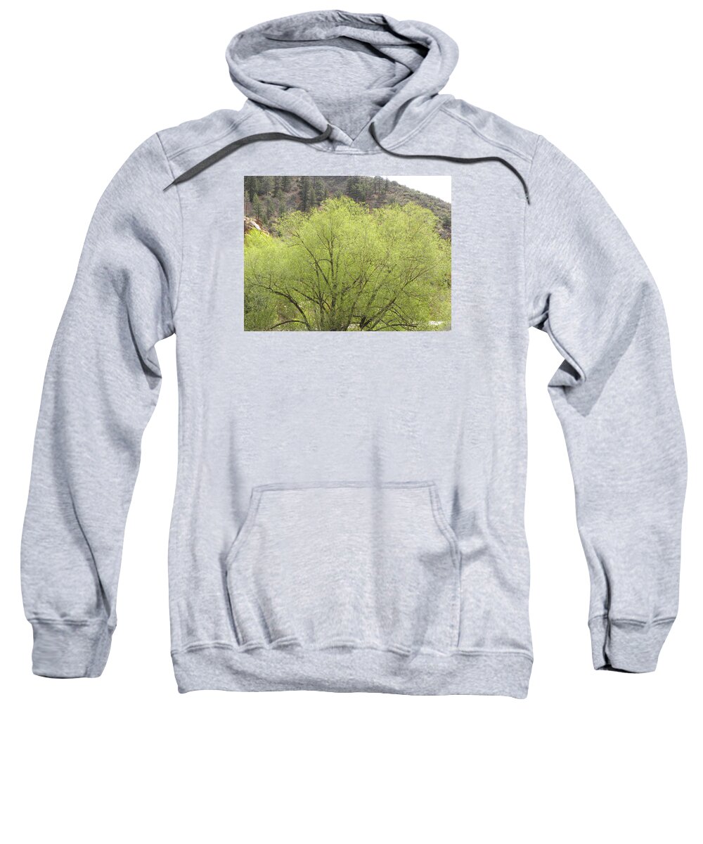 Big Sweatshirt featuring the photograph Tree Ute Pass Hwy 24 COS CO by Margarethe Binkley