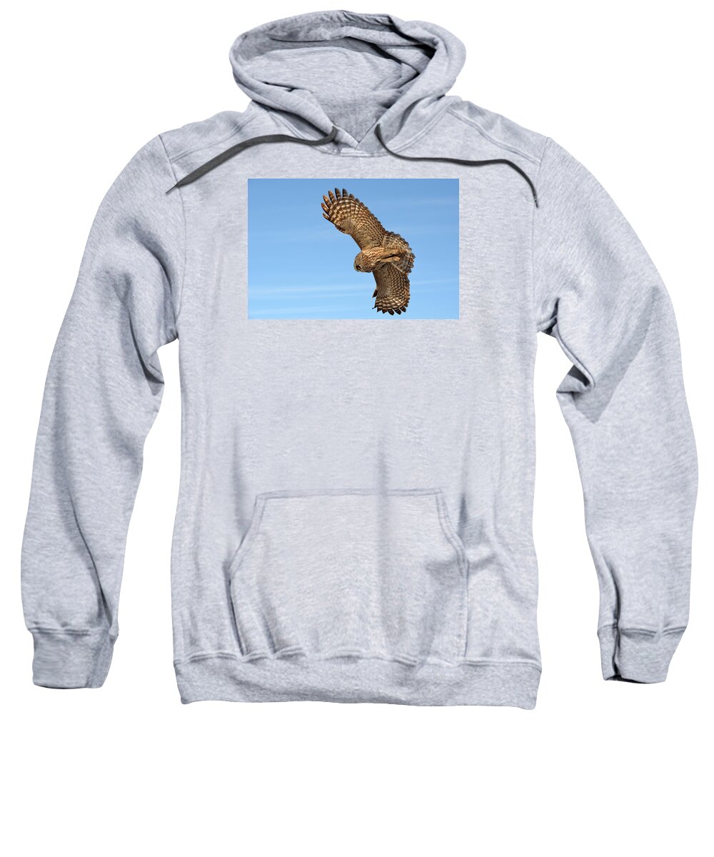 Great Gray Owl Sweatshirt featuring the photograph Great Gray Owl plumage patterns in-flight by Asbed Iskedjian