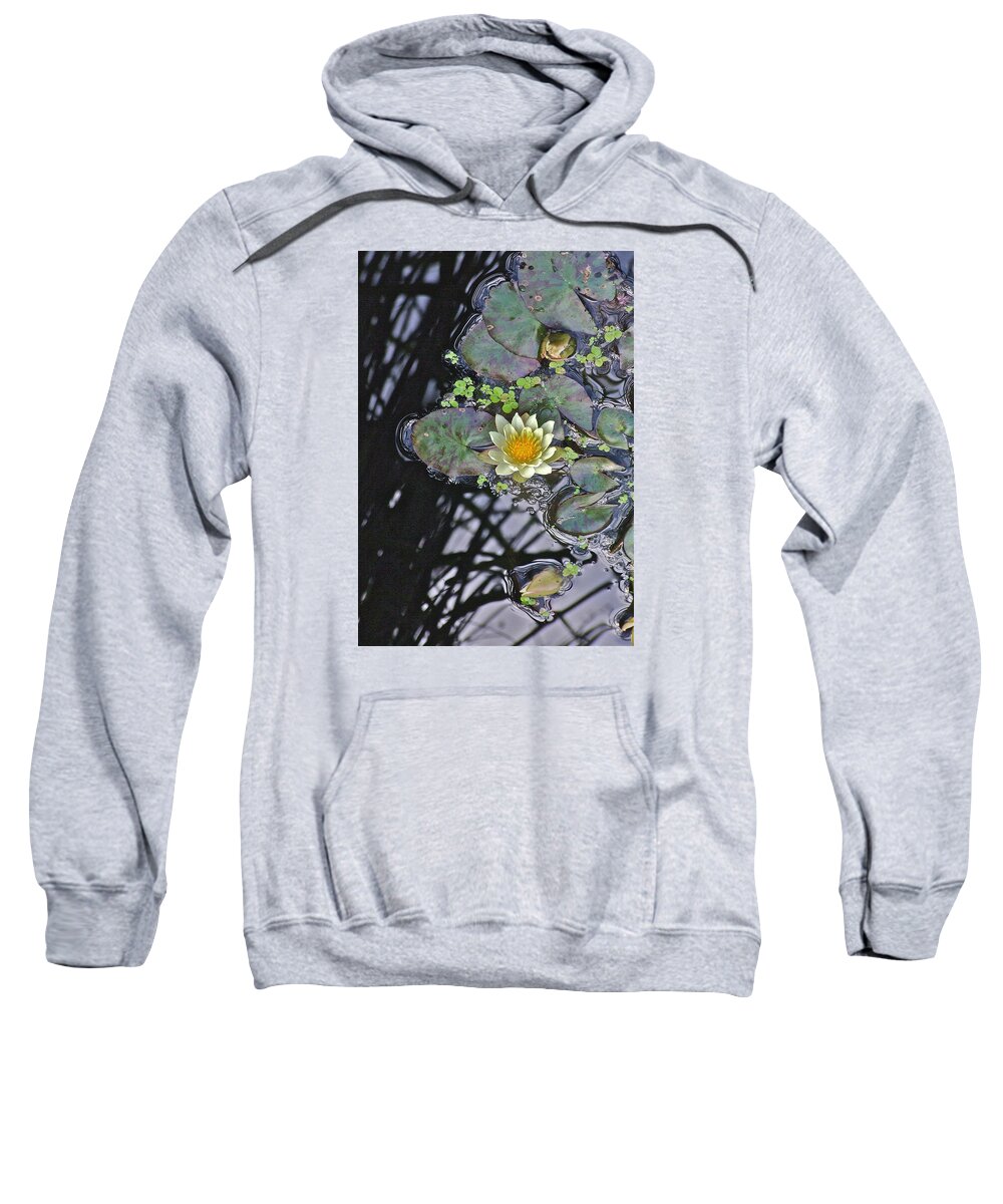 Waterlily: Water Garden; Garden Plant; Flowers; Gardens; Nature Sweatshirt featuring the photograph September White Water Lily by Janis Senungetuk