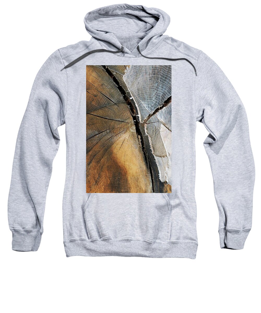 12.28.16_a W Sweatshirt featuring the photograph A Dead Tree #1 by Dorin Adrian Berbier
