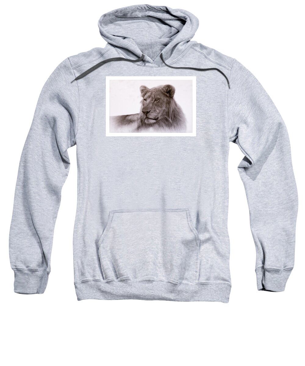 Lions Sweatshirt featuring the photograph All Grown Up by Elaine Malott