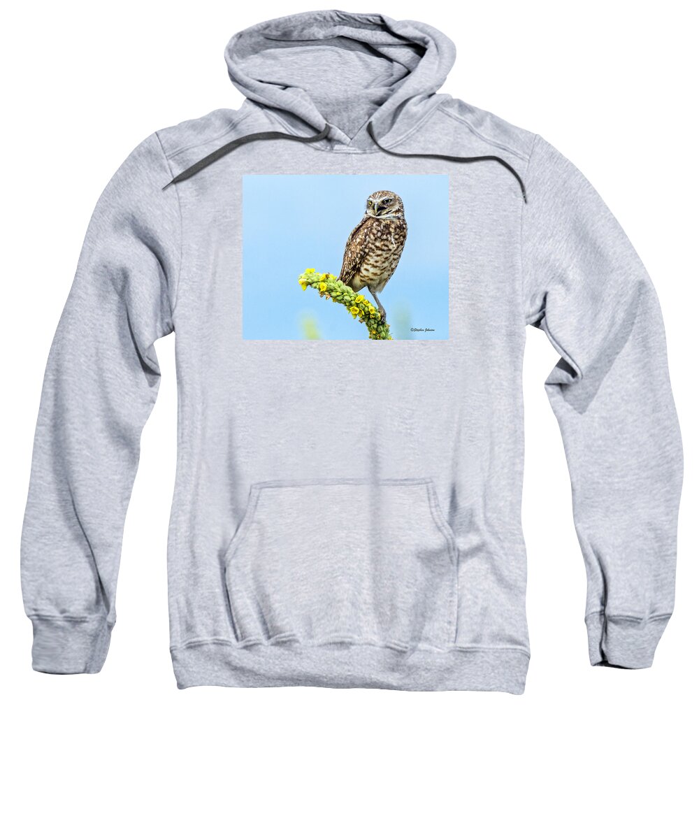 Burrowing Owl Sweatshirt featuring the photograph Burrowing Owl on Mullein Plant #1 by Stephen Johnson