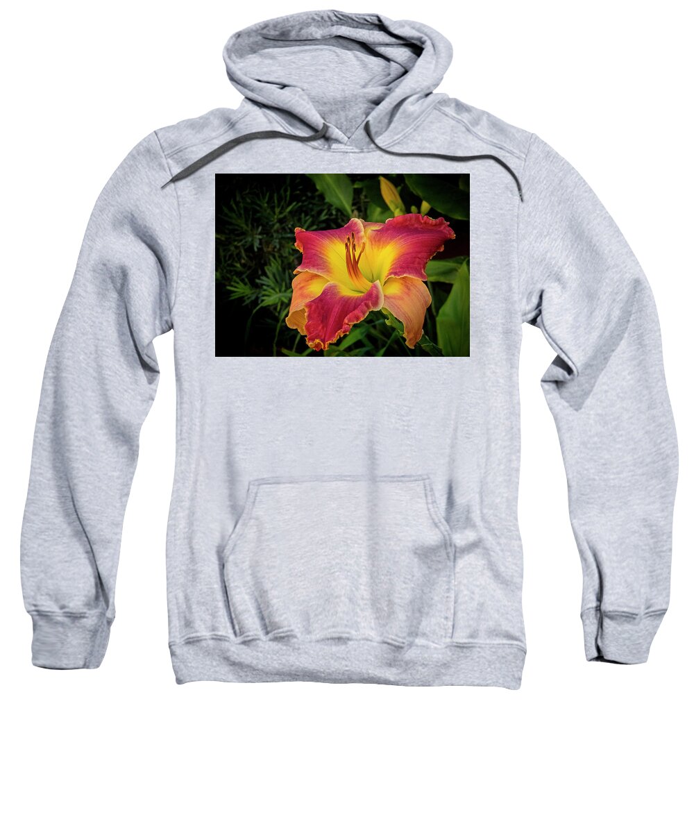 Fine Art Prints Sweatshirt featuring the photograph Colorful Lily #1 by Dave Bosse