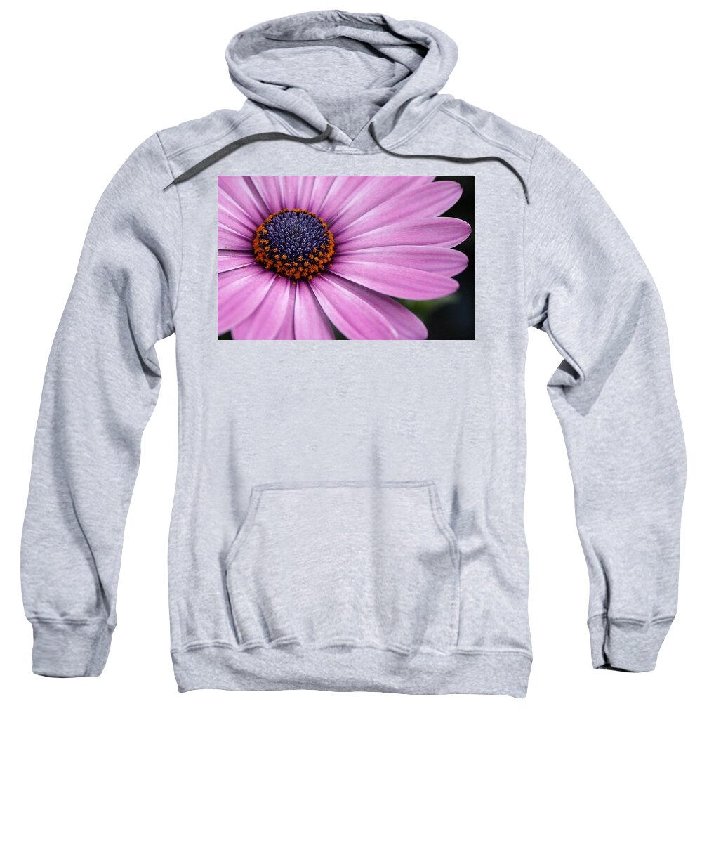 Flora Sweatshirt featuring the photograph Daisy Delight #2 by Bruce Bley