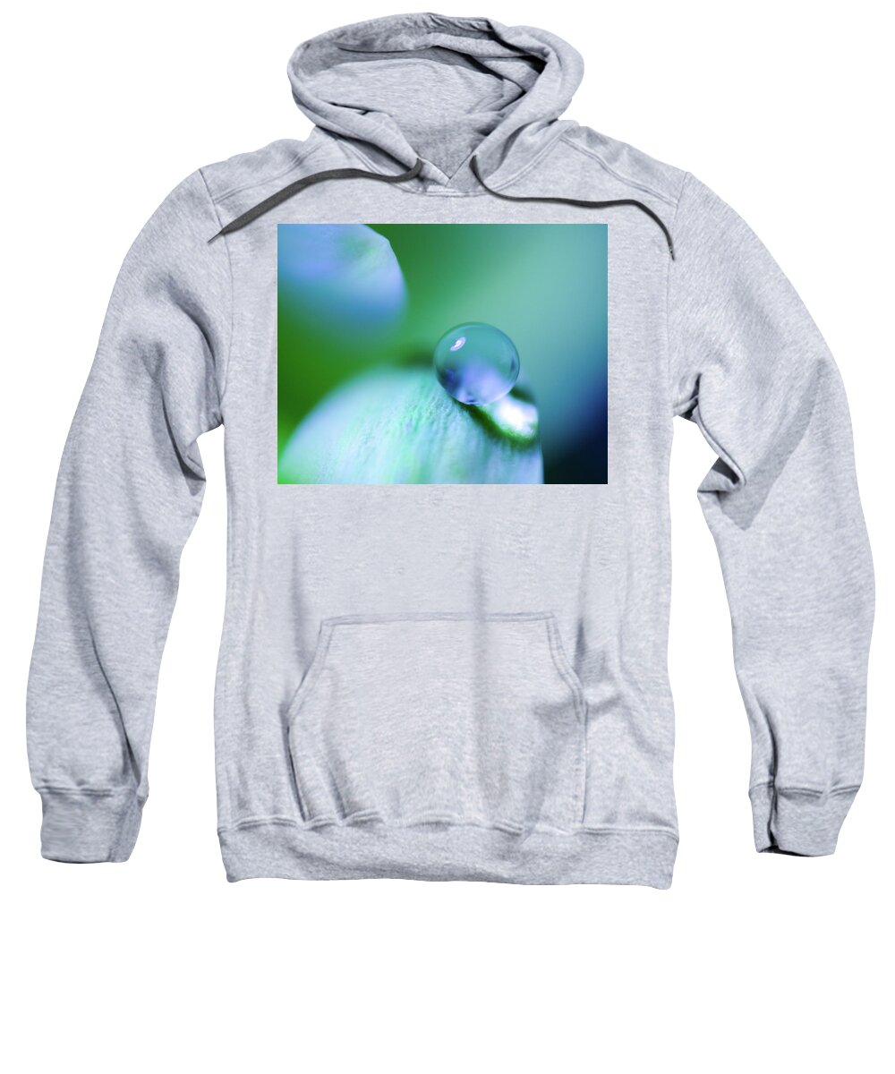 Bokeh Sweatshirt featuring the photograph Dropped #1 by Sandra Parlow
