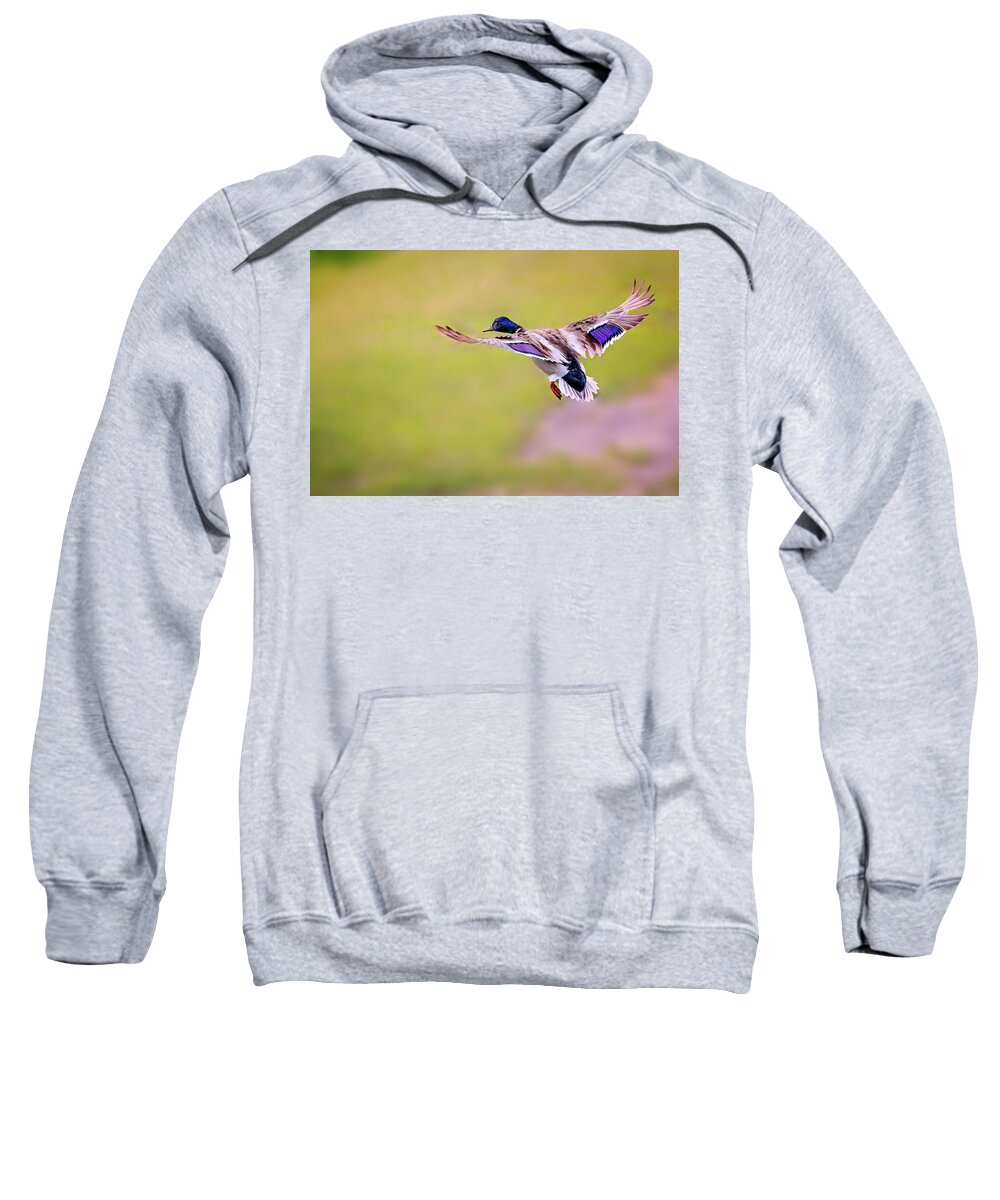 Animal Sweatshirt featuring the photograph Duck-drake #1 by Peter Lakomy