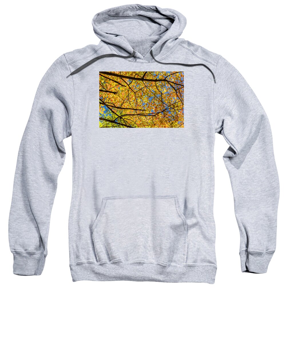 New Jersey Sweatshirt featuring the photograph Fall's approach #1 by SAURAVphoto Online Store
