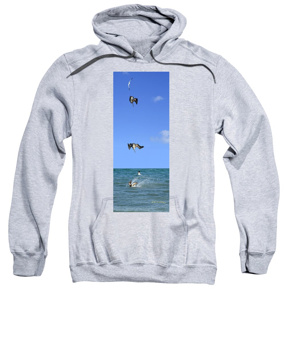 Pelican Sweatshirt featuring the photograph Fishing with Friend #2 by R B Harper
