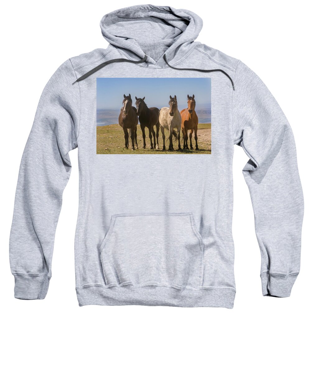 Mark Miller Photos Sweatshirt featuring the photograph The Four Amigos Wild Stallions by Mark Miller