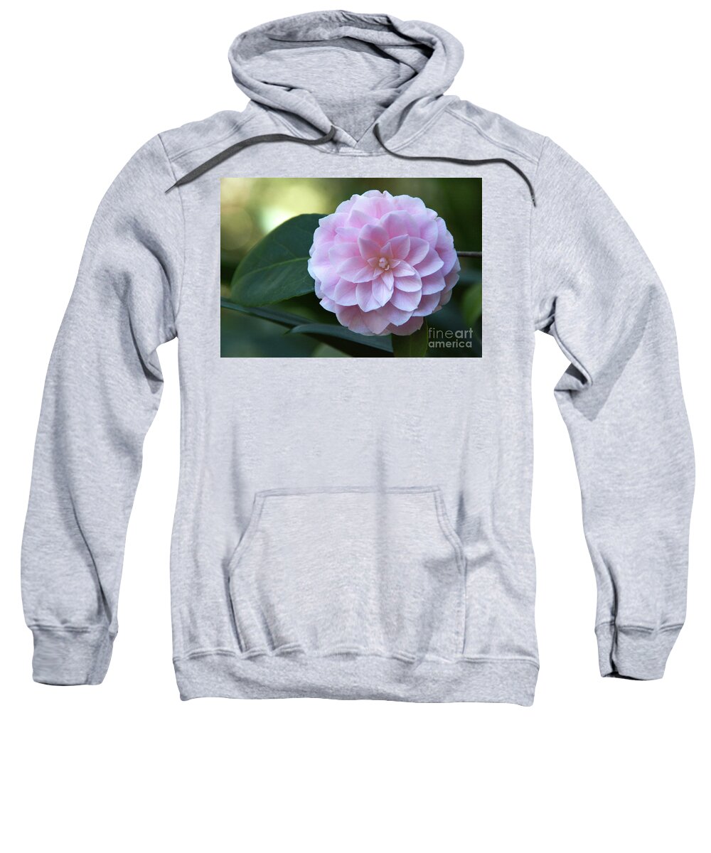 Flower Sweatshirt featuring the photograph Geometry #1 by Dan Holm