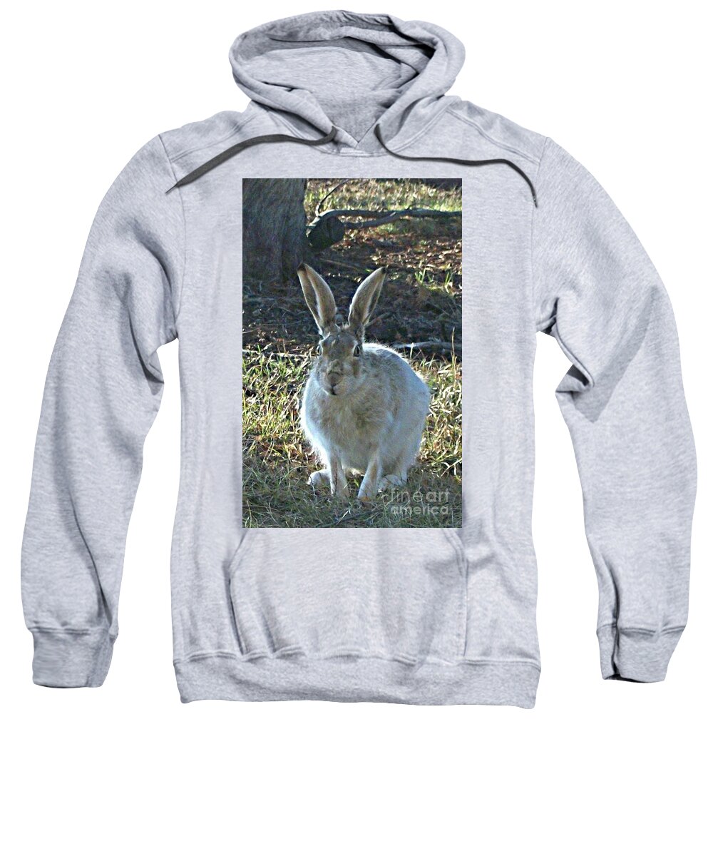 Hare Sweatshirt featuring the photograph Hare by 'REA' Gallery