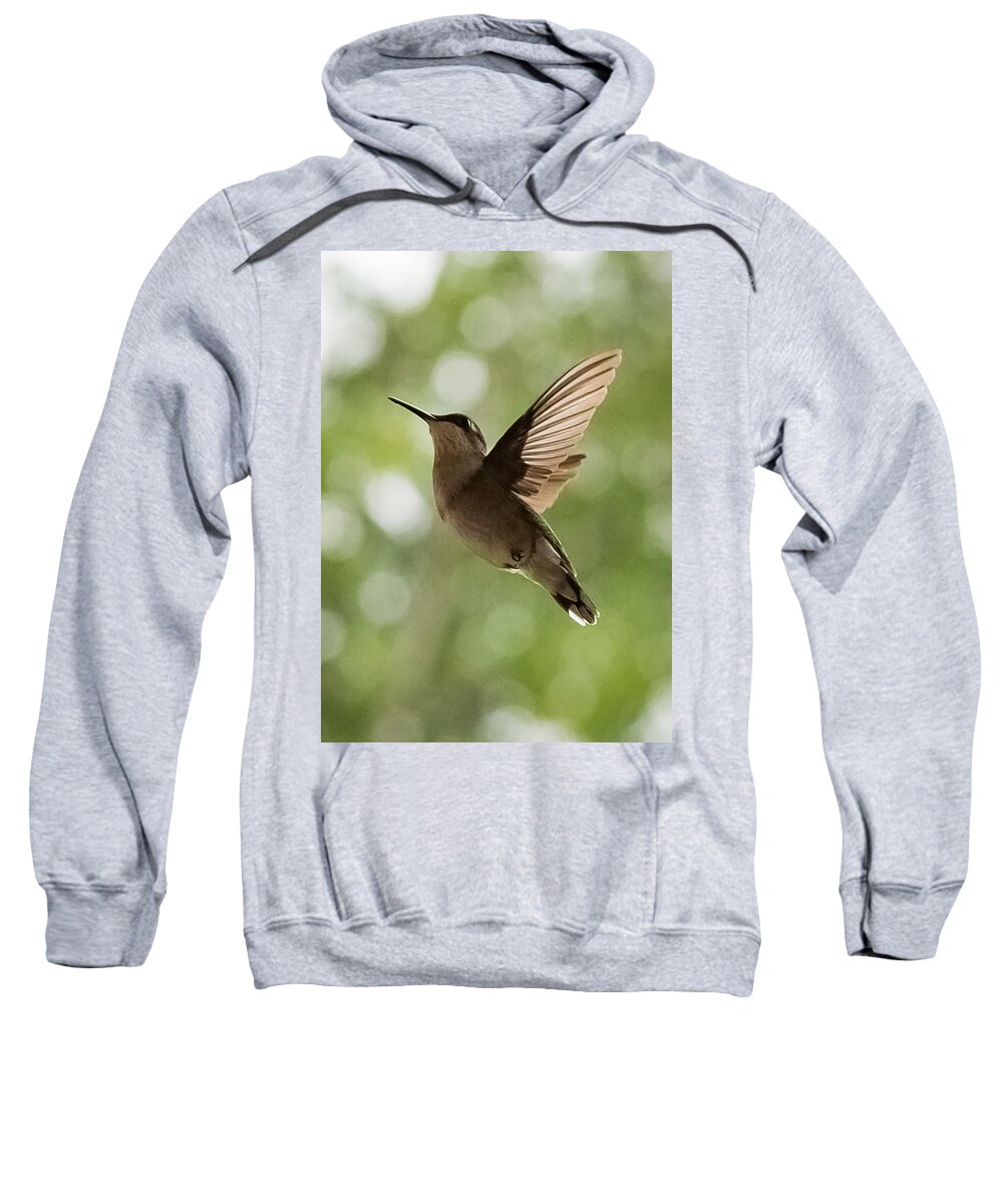 Hummingbird Sweatshirt featuring the photograph Hummingbird #1 by Holden The Moment