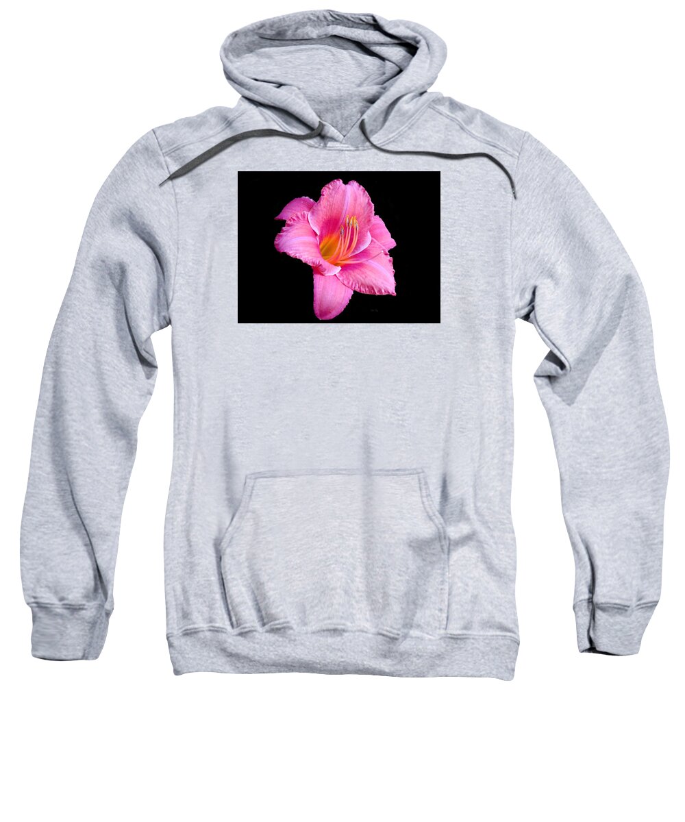 Autumn Sweatshirt featuring the photograph In the Pink #2 by Wild Thing