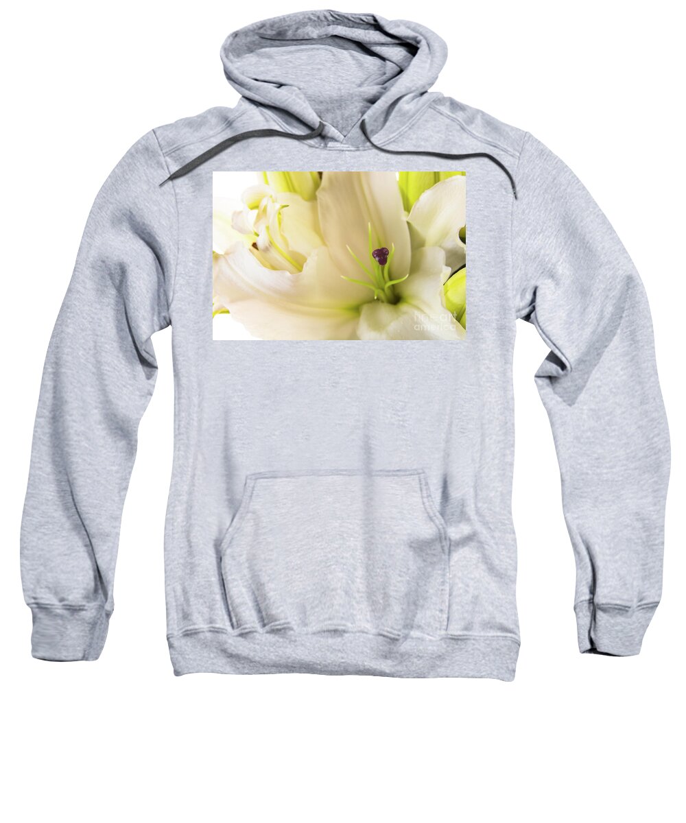 Alive Sweatshirt featuring the photograph Oriental Lily Flower by Raul Rodriguez