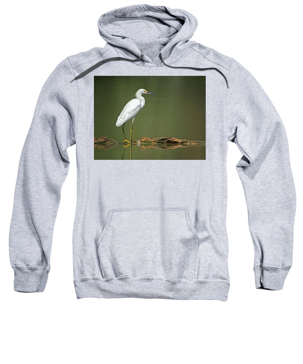 Snowy Sweatshirt featuring the photograph Snowy Egret #49 by Tam Ryan