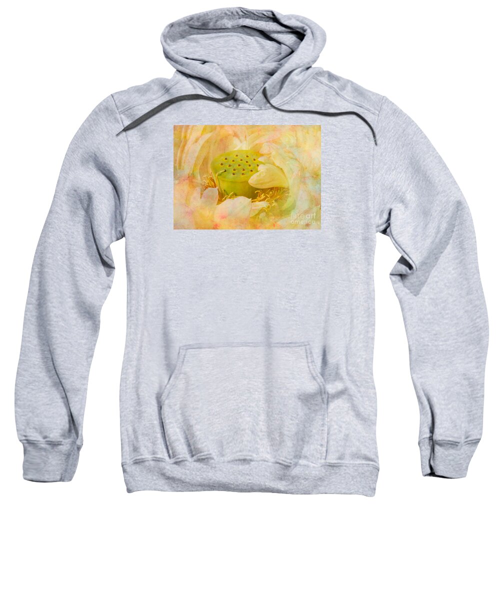 Cole's Pond Sweatshirt featuring the photograph Spring Poem, #1 by Marilyn Cornwell