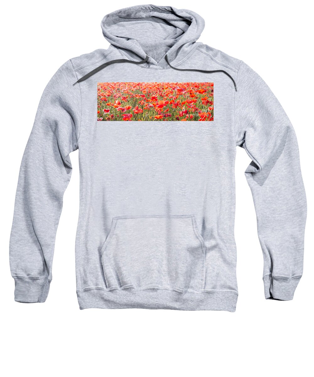 3x1 Sweatshirt featuring the photograph Summer poetry by Hannes Cmarits