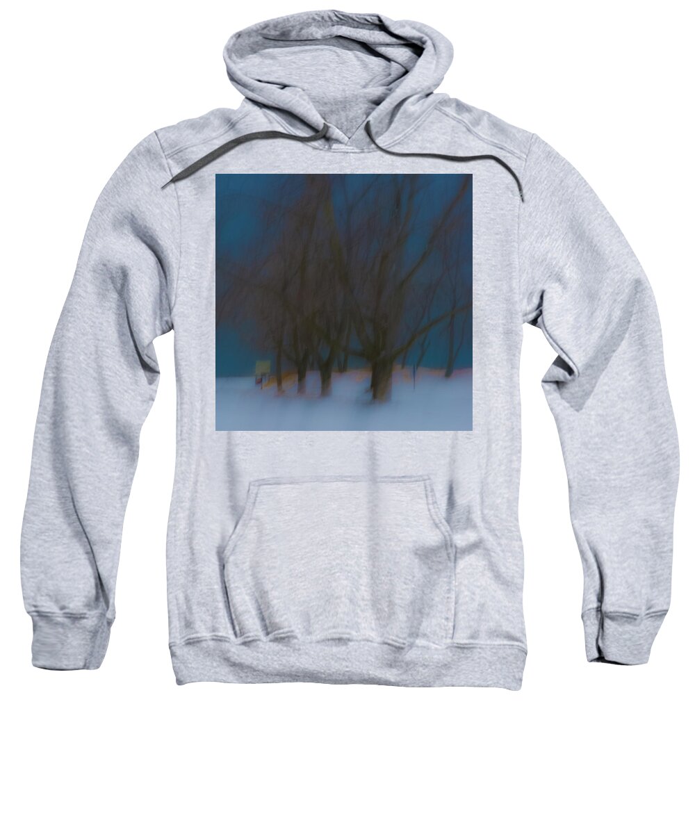 Camera Motion Sweatshirt featuring the photograph Tree Dreams #1 by Stewart Helberg