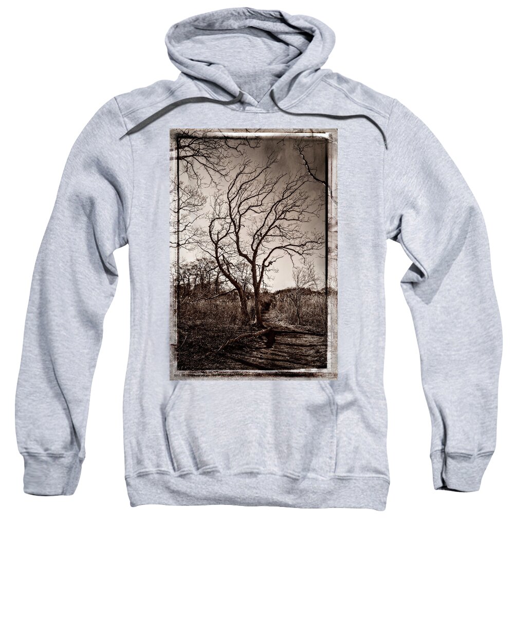 Baril Sweatshirt featuring the photograph Tree #1 by Frank Winters