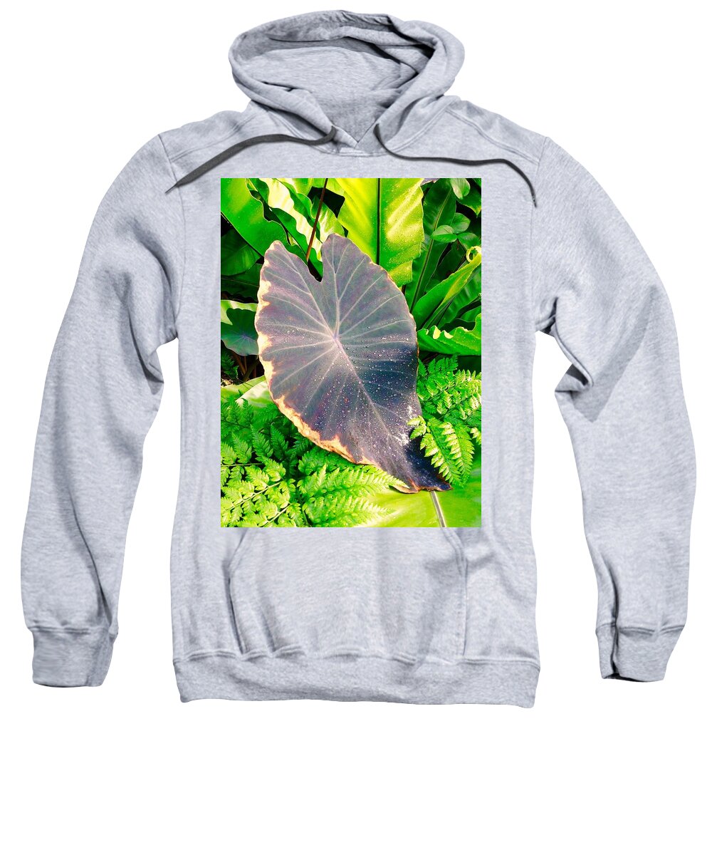 Palm Sweatshirt featuring the photograph Tropical Garden #1 by Mindy Newman