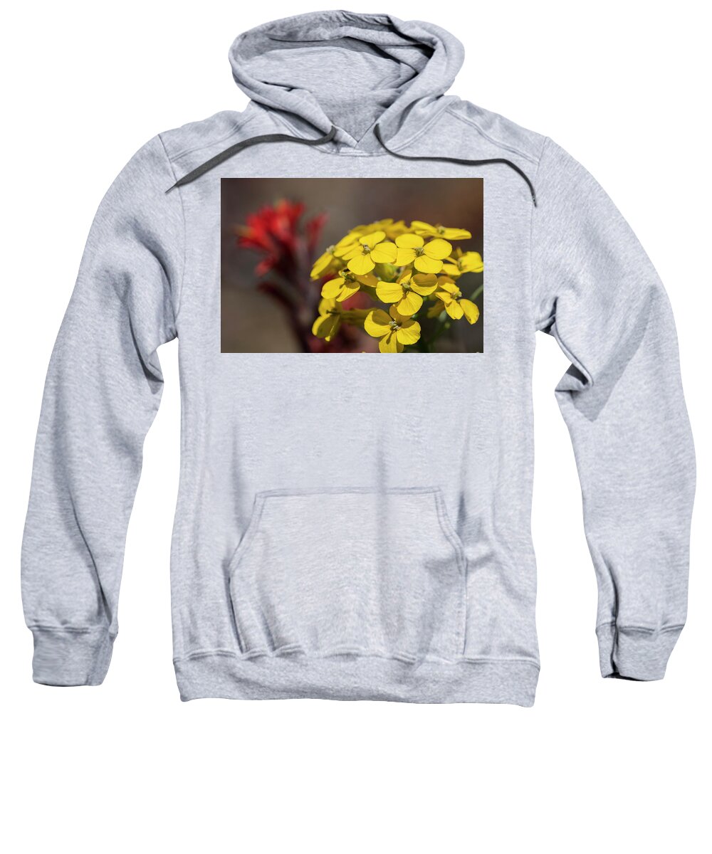 Blooms Sweatshirt featuring the photograph Wallflower #1 by Robert Potts