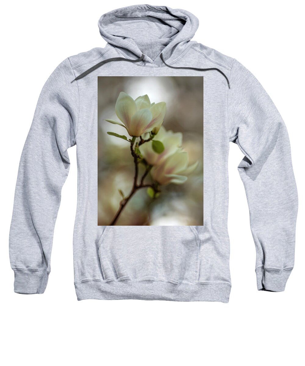 Magnolia Sweatshirt featuring the photograph White magnolia #1 by Jaroslaw Blaminsky