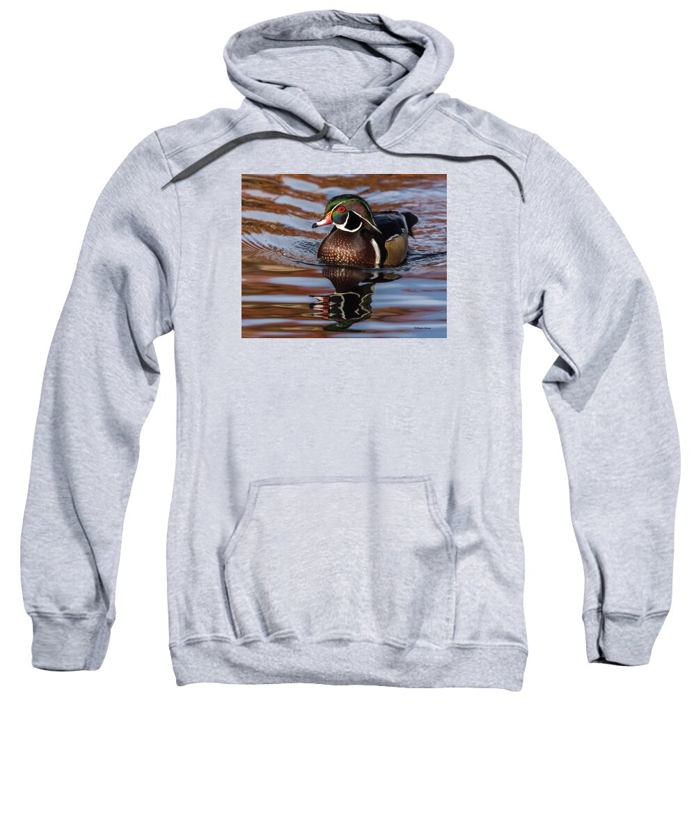 Wood Duck Sweatshirt featuring the photograph Wood Duck Reflections #2 by Stephen Johnson