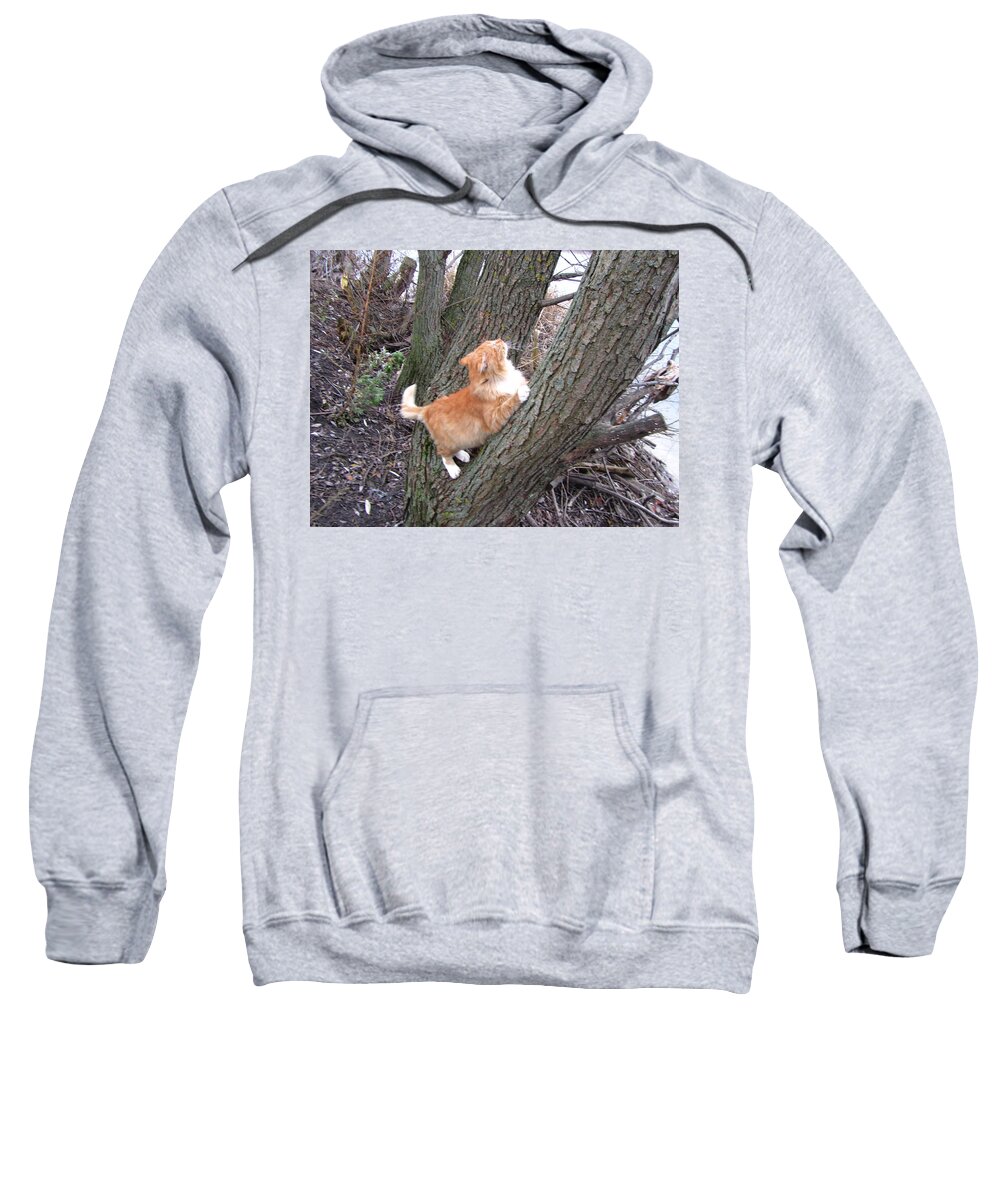 Cat Sweatshirt featuring the photograph Cat #114 by Jackie Russo