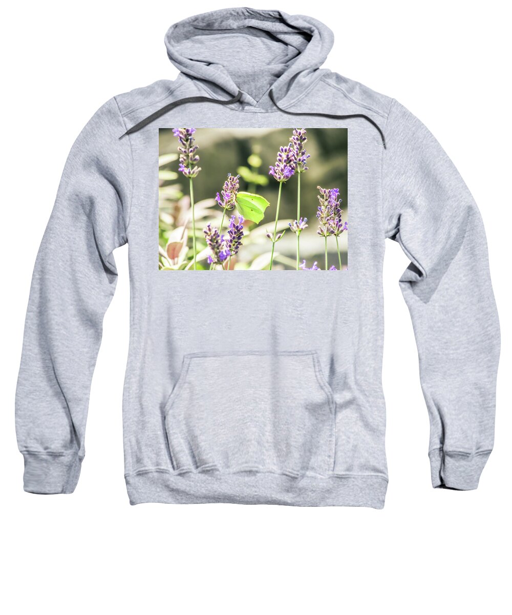Flower Sweatshirt featuring the photograph Butterfly #15 by Cesar Vieira