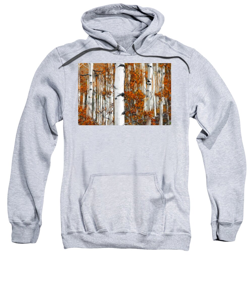 Tree Sweatshirt featuring the painting Birches #2 by Bruce Nutting