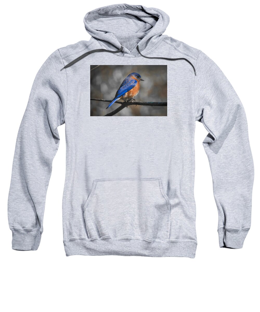 Bluebird Sweatshirt featuring the photograph Male Eastern Bluebird #2 by Robert L Jackson
